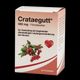 Crataegutt® 450mg - Filmtabletten - 60 Stück
